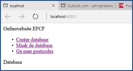 Resultaat Index Pagina Home Oefening EFCF Use Case PostalCodes Inserting